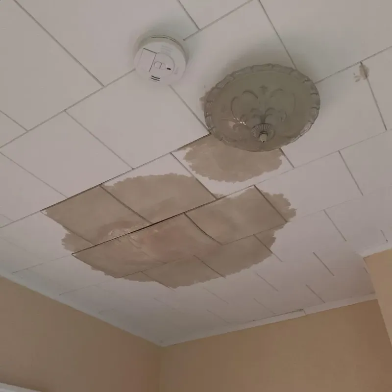 Ceiling Water Damage Repair in Sardis City, AL
