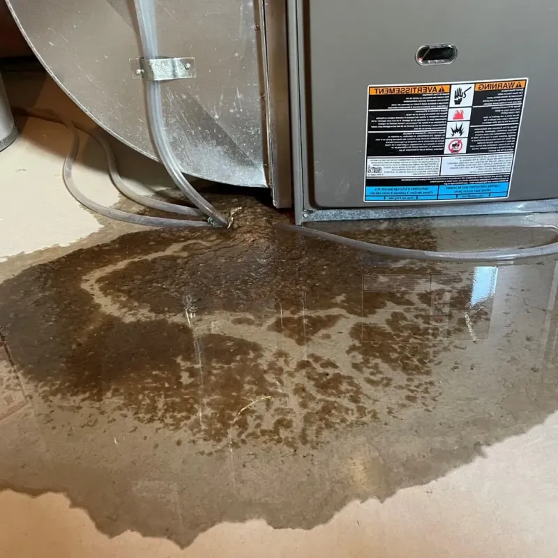Pipe Burst and Leak Restoration in Sardis City, AL