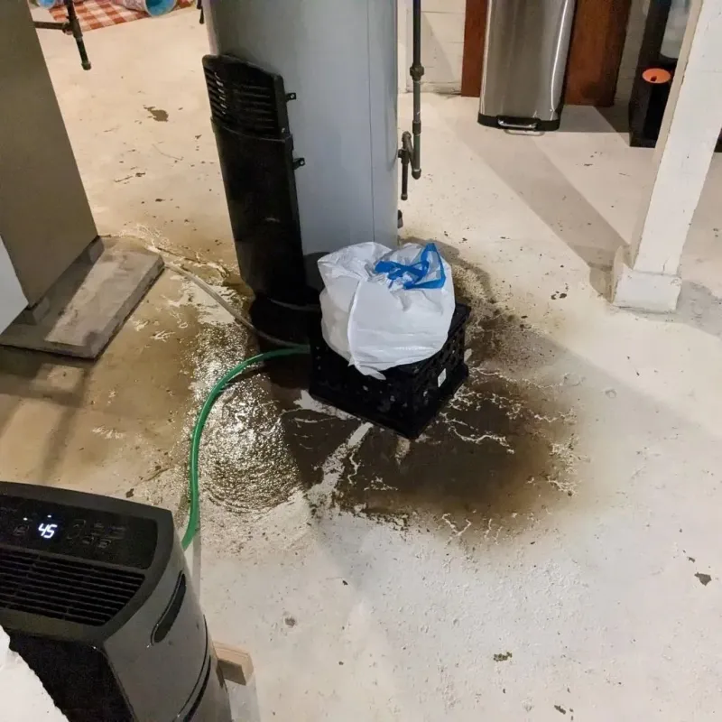 Sewage Backup Cleanup Service in Sardis City, AL